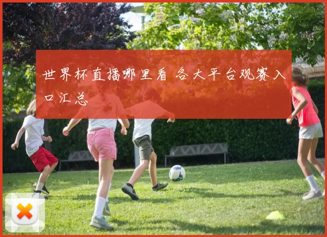 世界杯直播哪里看 各大平台观赛入口汇总