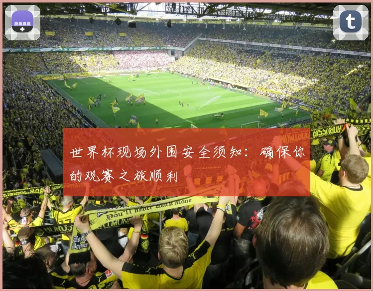 世界杯现场外围安全须知：确保你的观赛之旅顺利