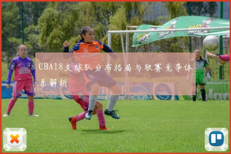 CBA18支球队分布格局与联赛竞争体系解析