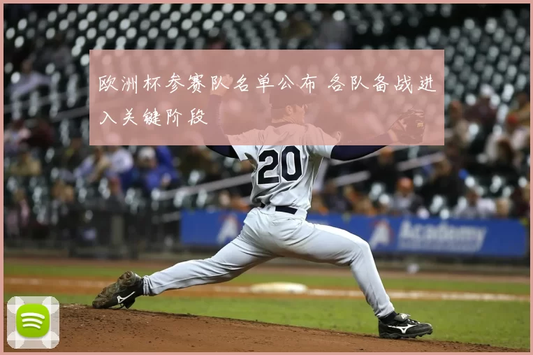 欧洲杯参赛队名单公布 各队备战进入关键阶段