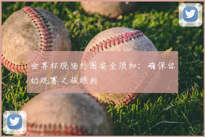 世界杯现场外围安全须知:确保你的观赛之旅顺利
