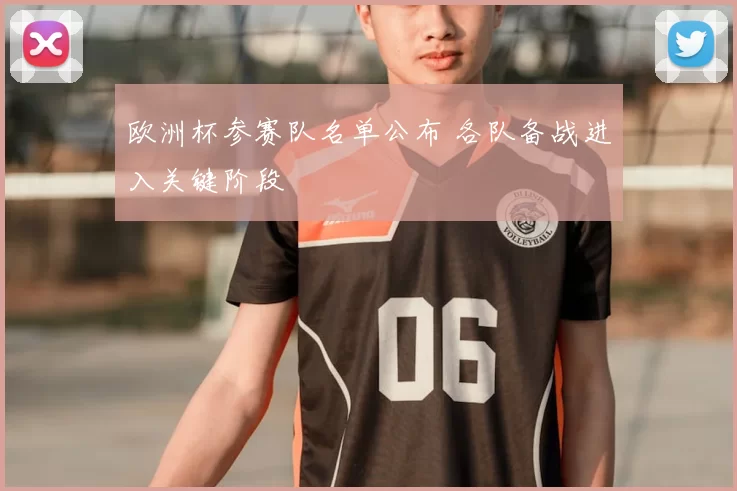 欧洲杯参赛队名单公布 各队备战进入关键阶段