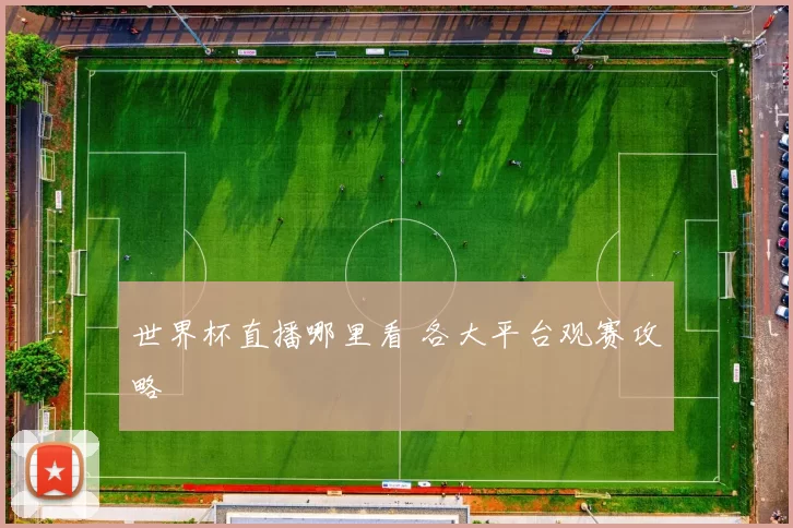 世界杯直播哪里看 各大平台观赛攻略