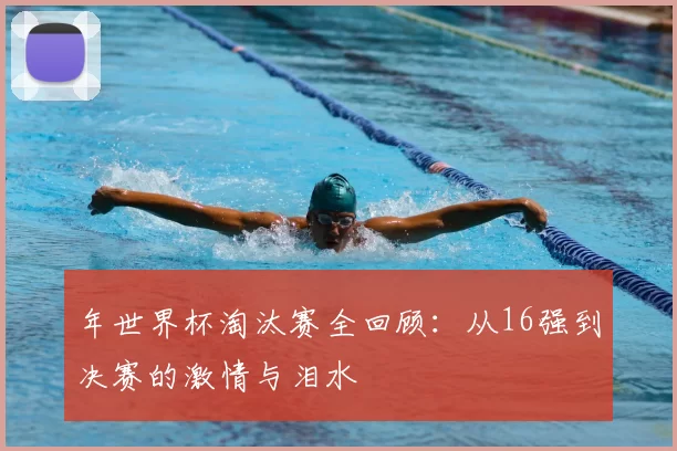 年世界杯淘汰赛全回顾:从16强到决赛的激情与泪水